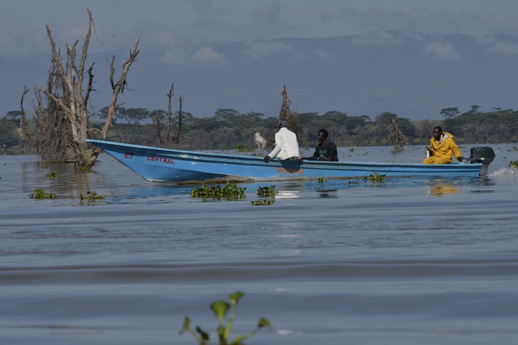 Burch'S Resort Naivasha Kültér fotó